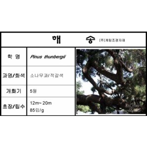 해송-1kg/판매단위