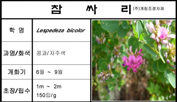 참싸리-1kg/판매단위