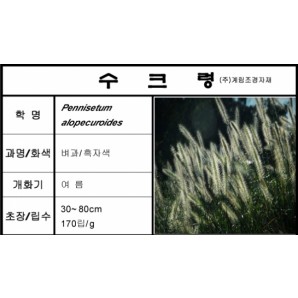 수크령-1kg/판매단위