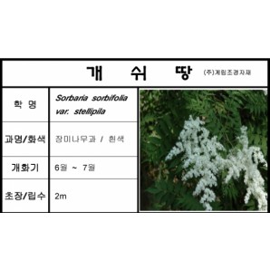 개쉬땅나무-1kg/판매단위