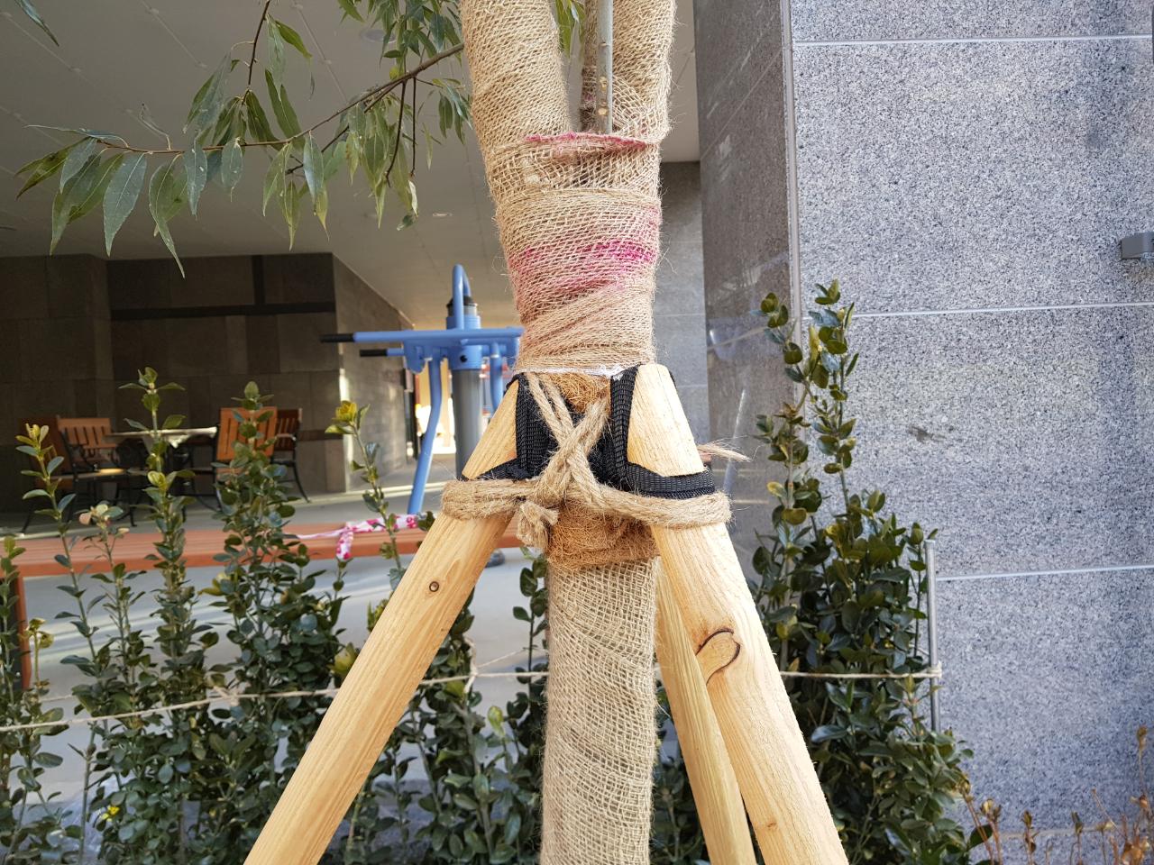 삼각 지주목-낙엽송가공, 규격선택(1세트)