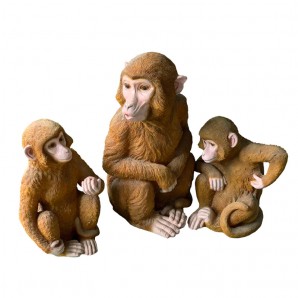 원숭이세트