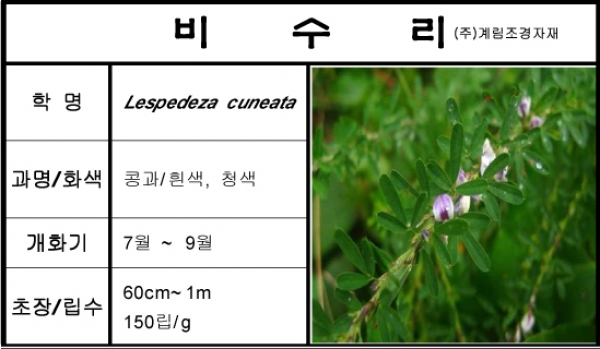 비수리-1kg/판매단위