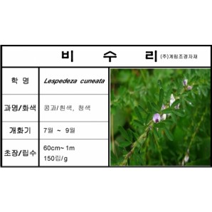 비수리-1kg/판매단위
