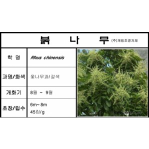 붉나무-1kg/판매단위