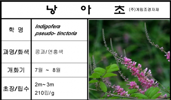 낭아초-1kg/판매단위