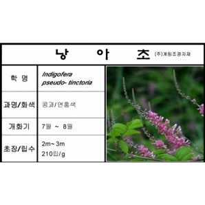 낭아초-1kg/판매단위