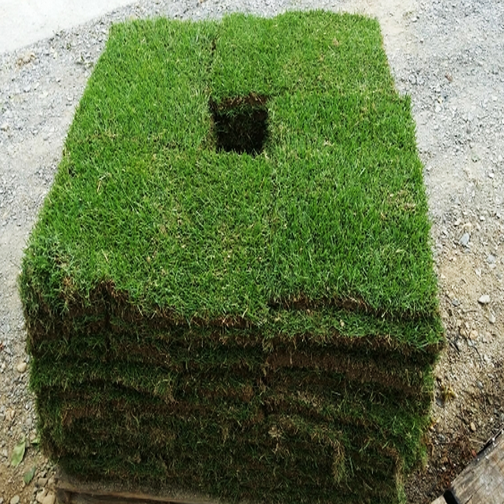 롤잔디(40cmx60cm)-양잔디(켄터키블루그래스),㎡당,재고확인후 납품가능