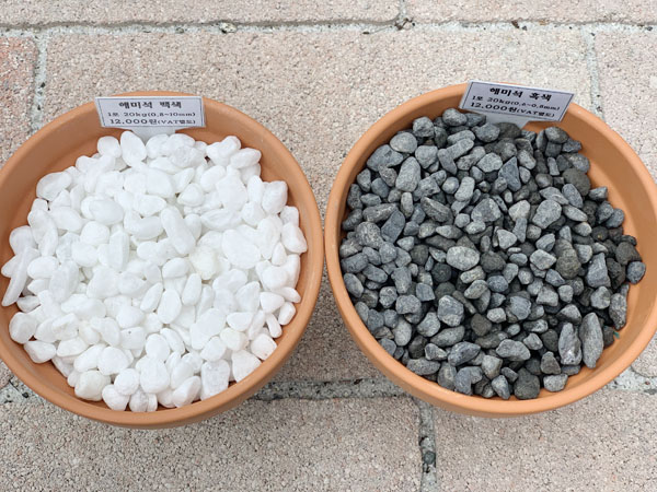 1598938017.jpg