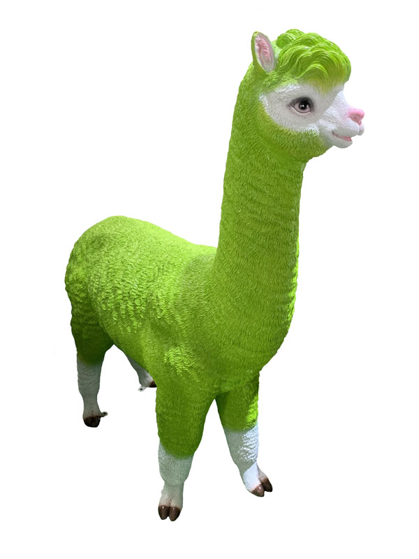 1626161229.jpg