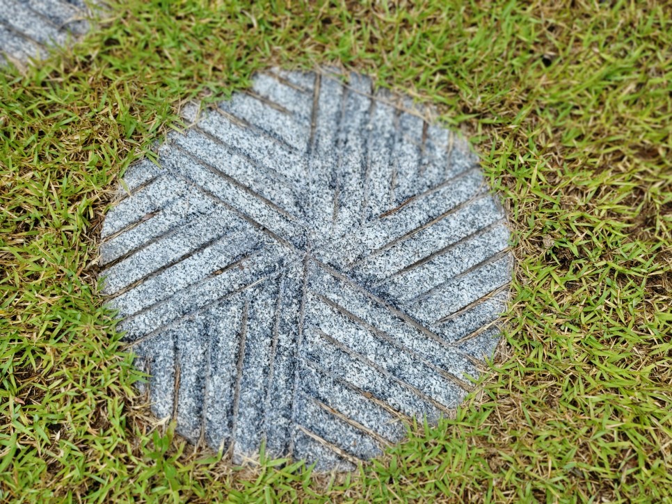 1654825424.jpg