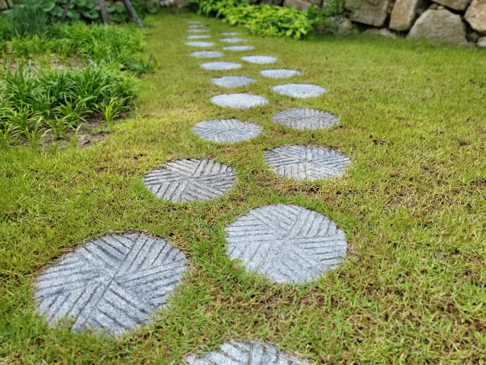 1654825431.jpg