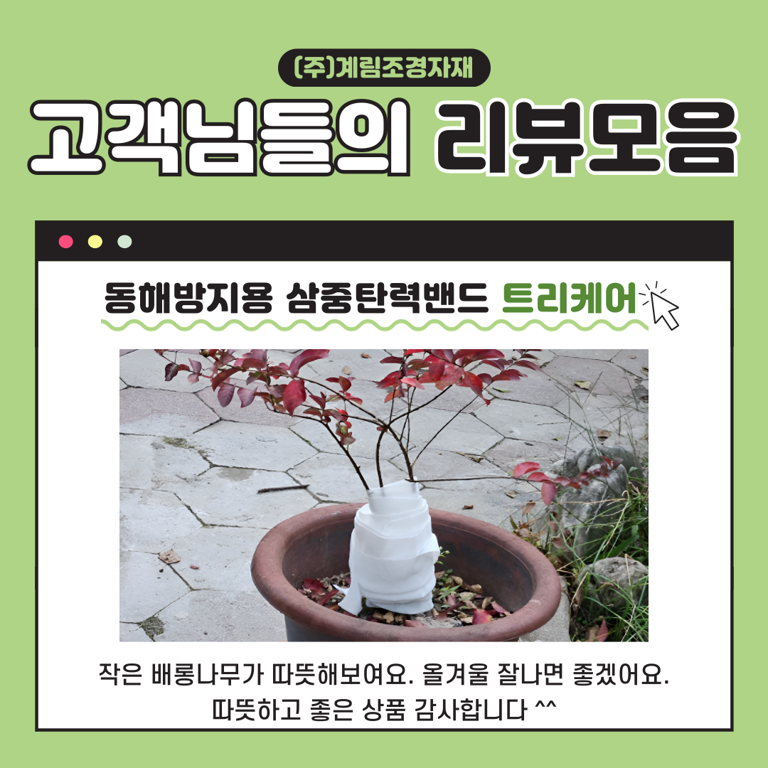 1731908315.png