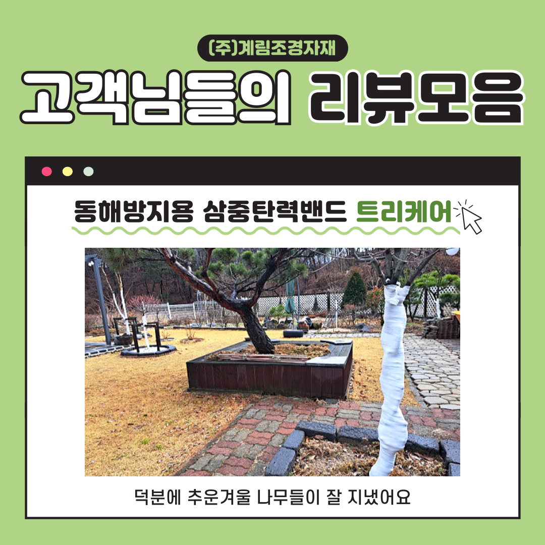 1731908336.png